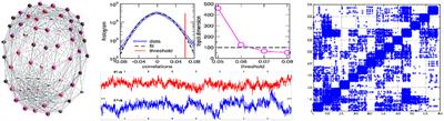 Origin of Hyperbolicity in Brain-to-Brain Coordination Networks